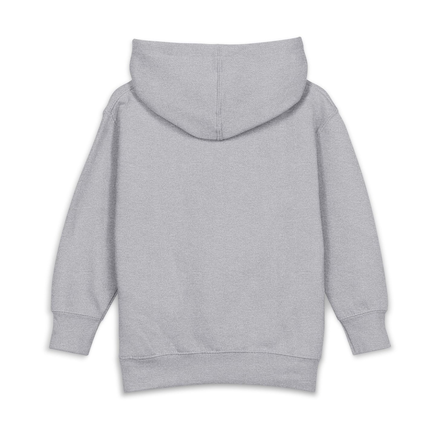 Toddler Hoodie – Cute Floral & Ladybug Pullover Fleece | Soft Cotton-Poly Kids Sweatshirt for Spring Heather