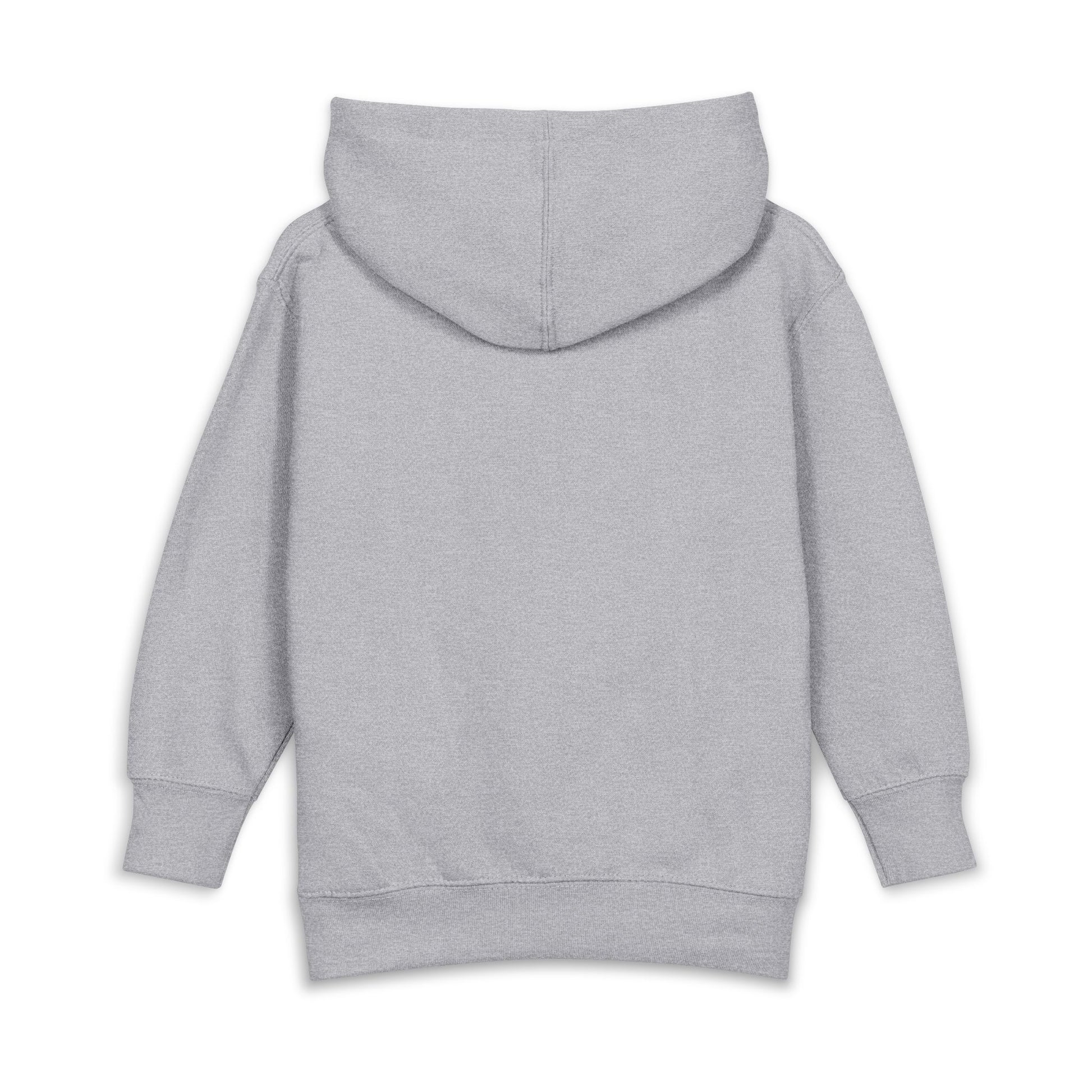 Toddler Hoodie – Cute Floral & Ladybug Pullover Fleece | Soft Cotton-Poly Kids Sweatshirt for Spring Heather